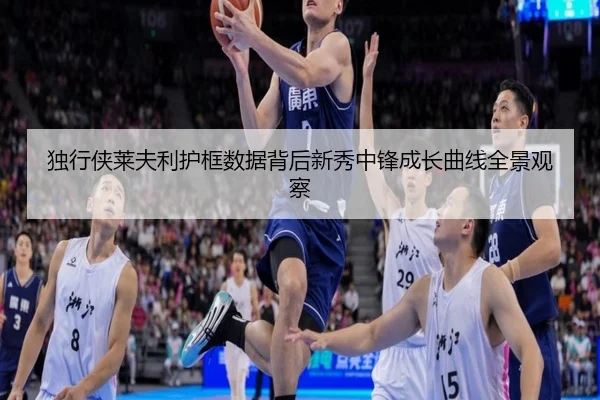 独行侠莱夫利护框数据背后新秀中锋成长曲线全景观察